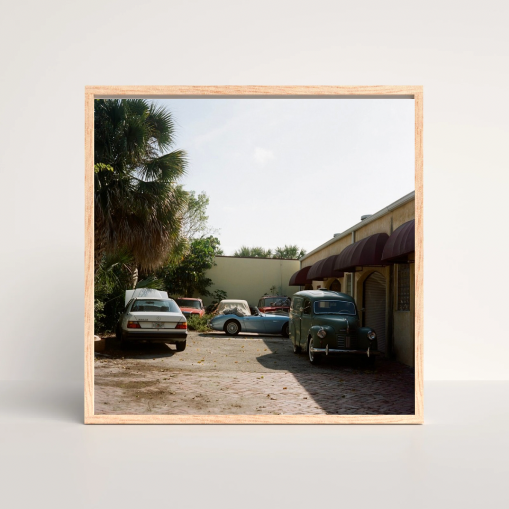 Medium Format Film Photo. Using Ektar 100 color negative film.